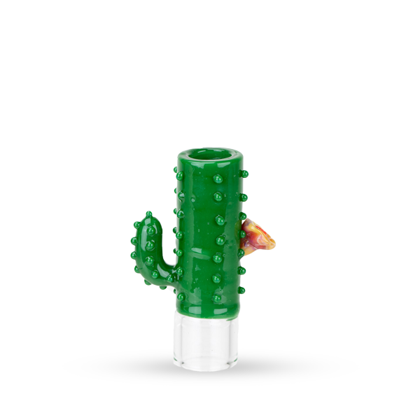 Hose Tip Cactus