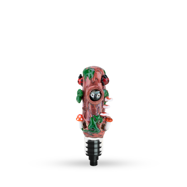 Small Glass Upstem (Percolated) Renew the Redwoods