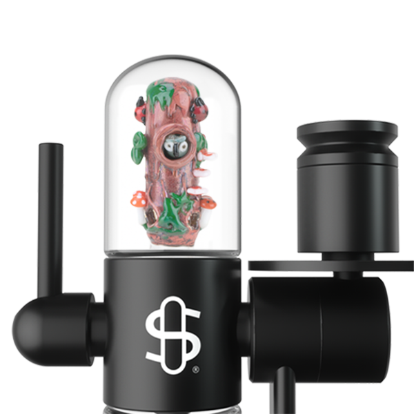 Small Glass Upstem (Percolated) Renew the Redwoods