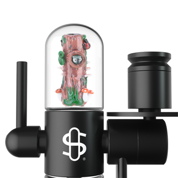 Small Glass Upstem (Straight) Renew the Redwoods