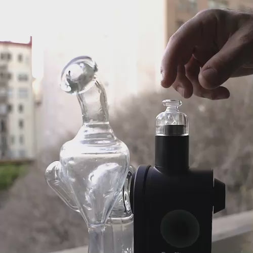 Modul Glass Carb Cap Assembly